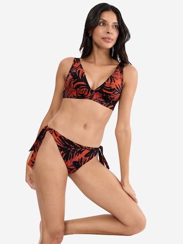 Bas de bikini ' Red Label Summer Palm ' TRIUMPH en marron