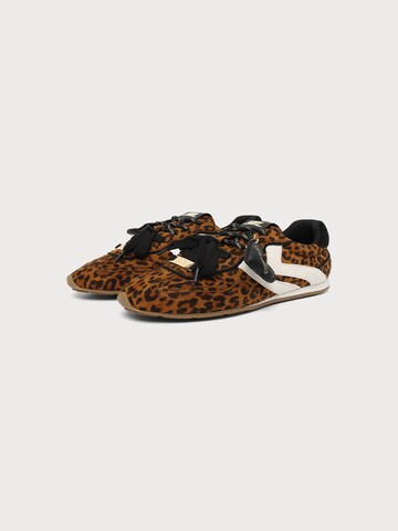 STEVE MADDEN Rövid szárú sportcipők 'Abbi-H' - barna