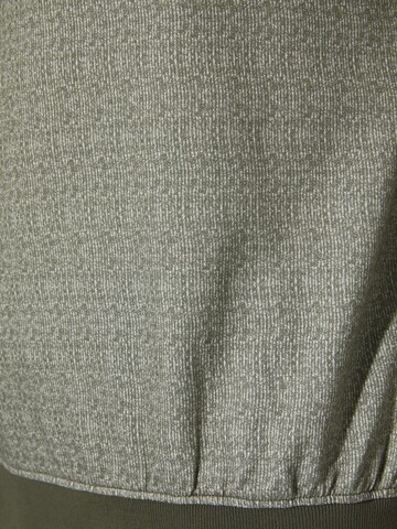 BABISTA Sweatshirt 'Elandor' in Groen