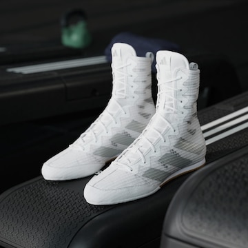 Chaussure de sport 'Box Hog 4' ADIDAS PERFORMANCE en blanc