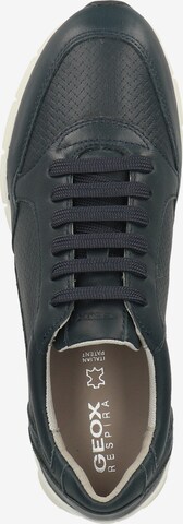 GEOX Sneaker 'Sukie' in Blau