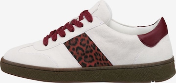 Baskets basses 'Aria' LLOYD en blanc : devant