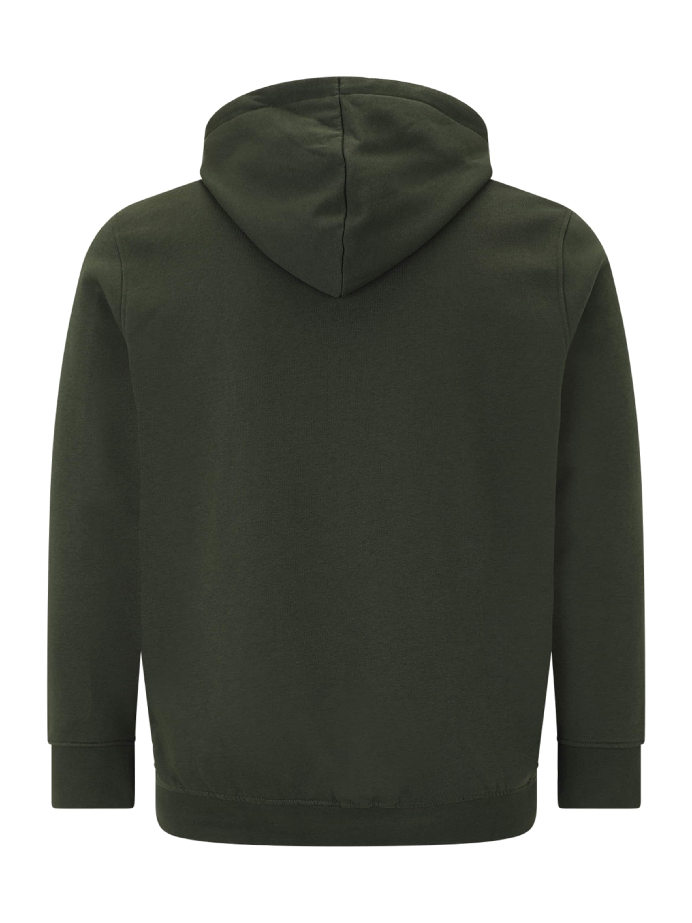 Jack & Jones Plus Sweatshirt 'JJESOHO' in Green