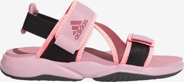 ADIDAS TERREX Sandals 'Sumra' in Pink