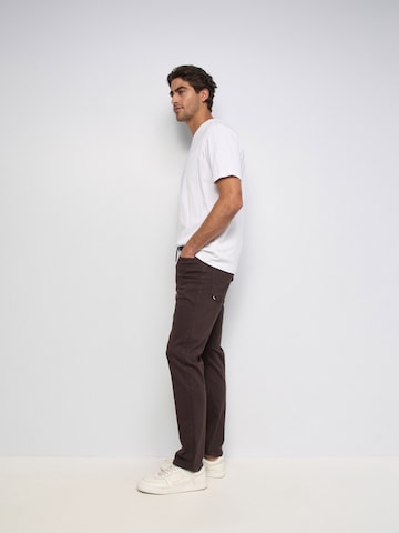 Salsa Jeans Slimfit Chino in Bruin