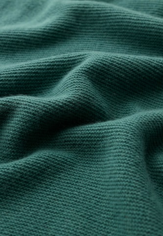 Seasalt Cornwall Trui 'Fruity II' in Groen