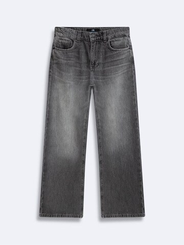 LTB Baggy Jeans in Grijs: voorkant