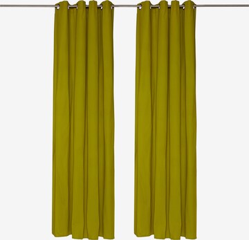 TOM TAILOR Curtains & Drapes in Green: front