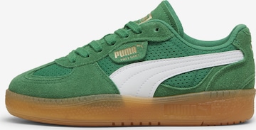 Baskets basses 'Palermo Moda' PUMA en vert : devant