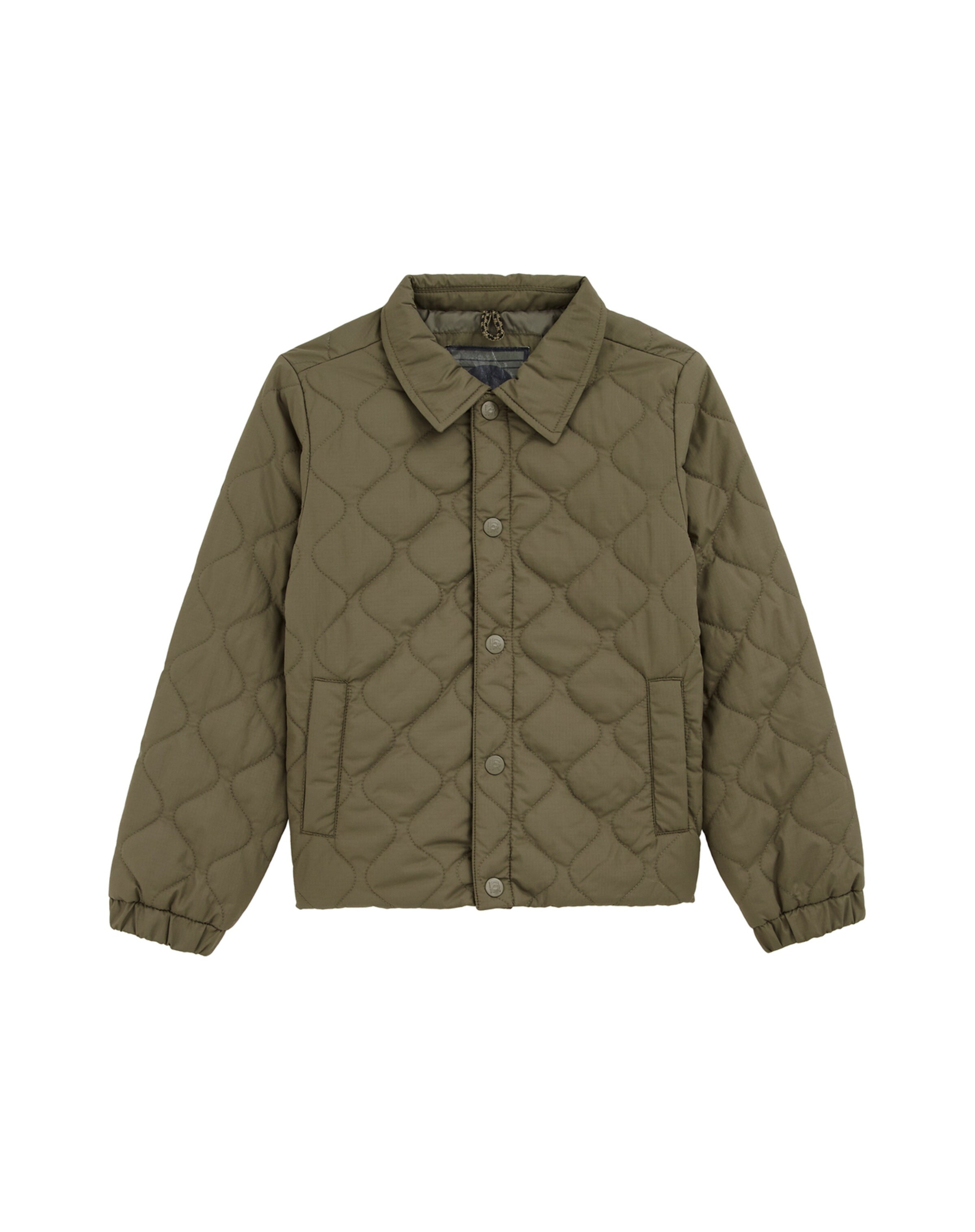 WE Fashion Övergångsjacka i grön: framsida