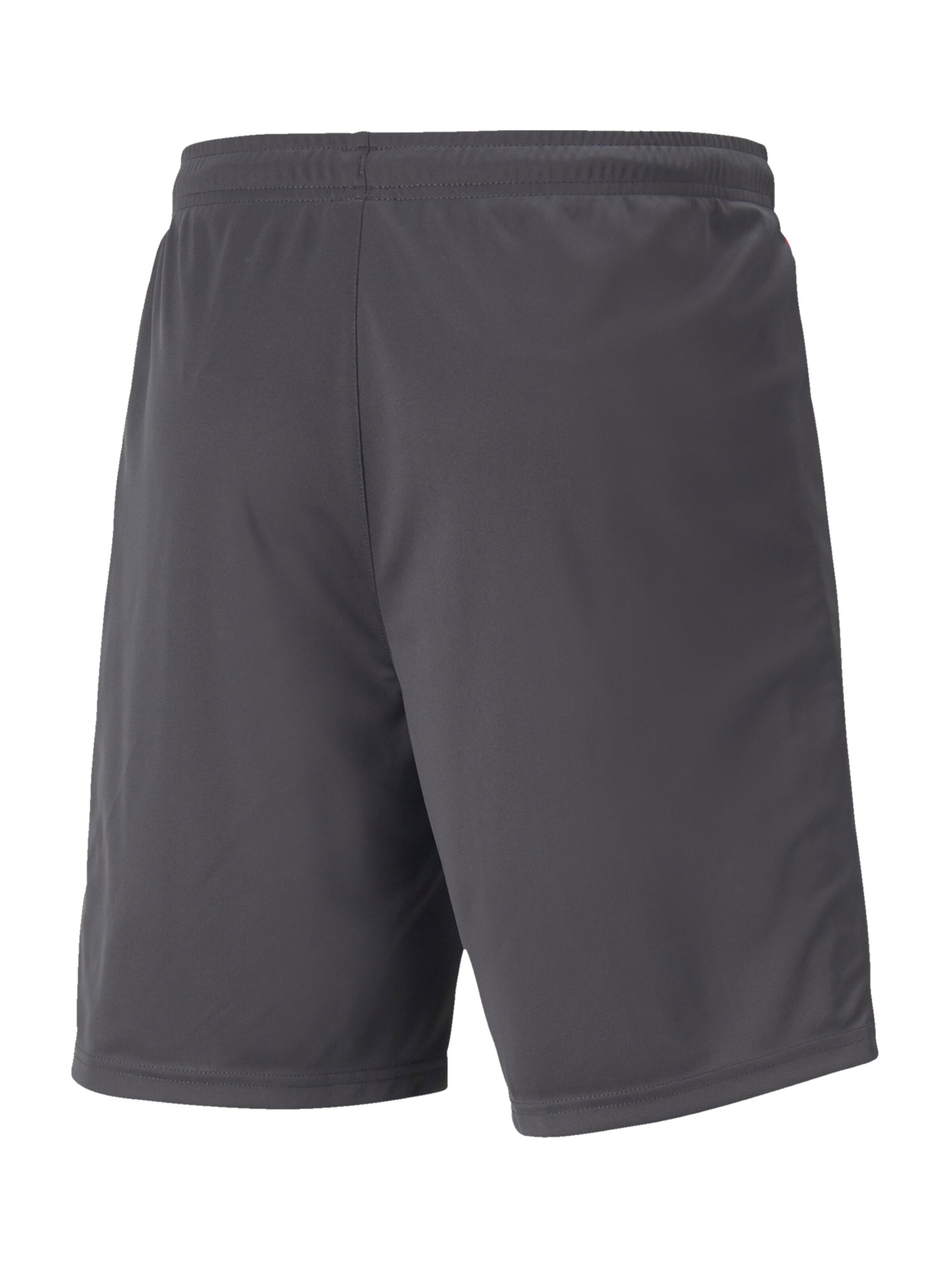 PUMA Regular Workout Pants in Grey