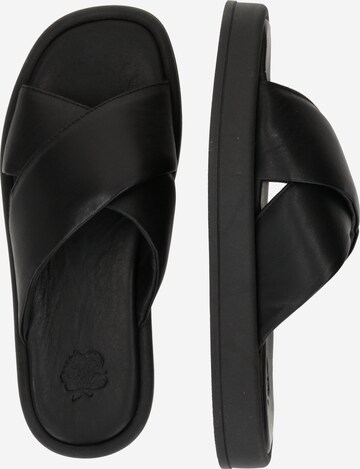 Apple of Eden Mule in Black