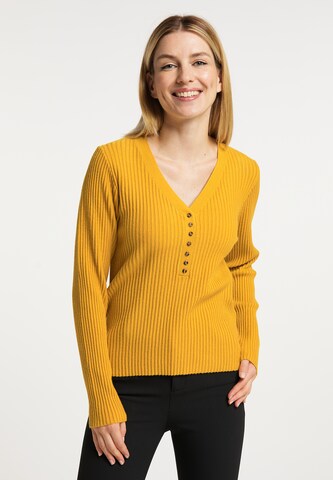 Pull-over Usha en jaune : devant