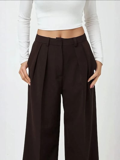 Hiccup Pantalon à pince en brun foncé, Vue avec produit