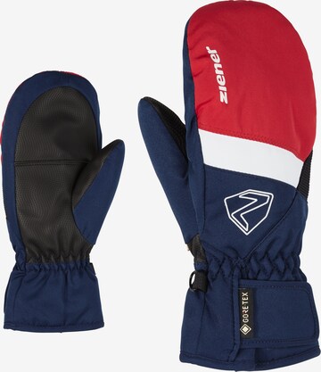 ZIENER Athletic Gloves 'Levin' in Blue: front