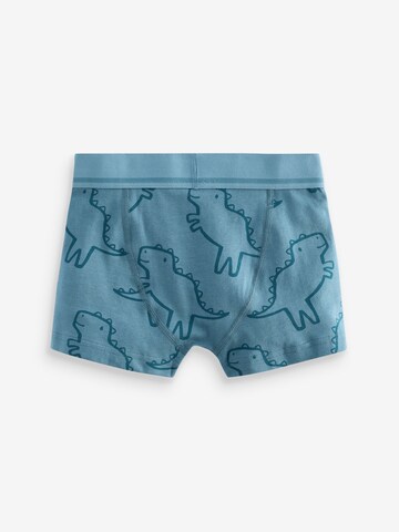 Next Underpants in Blue