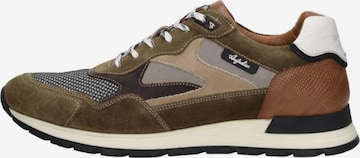 Australian Sneakers laag 'Tiago' in Grijs: voorkant