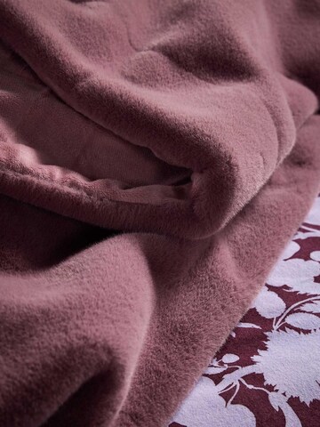 ESSENZA Duvet Cover 'Rosie' in Purple
