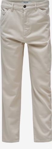 Salsa Jeans Chinohose in Beige: Vorderseite