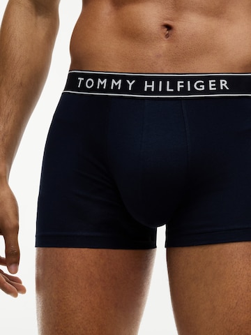 Tommy Hilfiger Underwear Boxer shorts 'Essential' in Blue