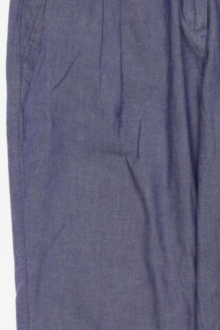 hessnatur Pants in S in Blue