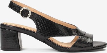 Kazar Sandals in Black