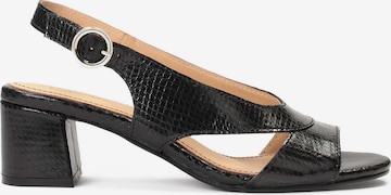 Kazar Sandal in Black