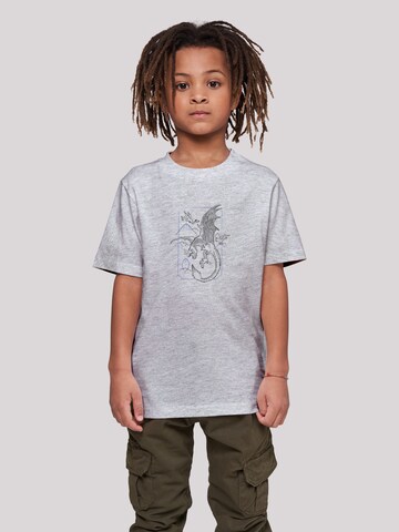F4NT4STIC T-Shirt 'Harry Potter Dragon' in Grau: predná strana