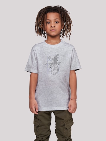 T-Shirt 'Harry Potter Dragon' F4NT4STIC en gris : devant