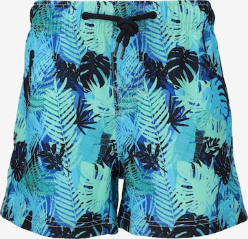 ZigZag Board Shorts in Blue: front