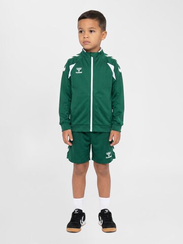 Hummel Regular Sports trousers in Green: front