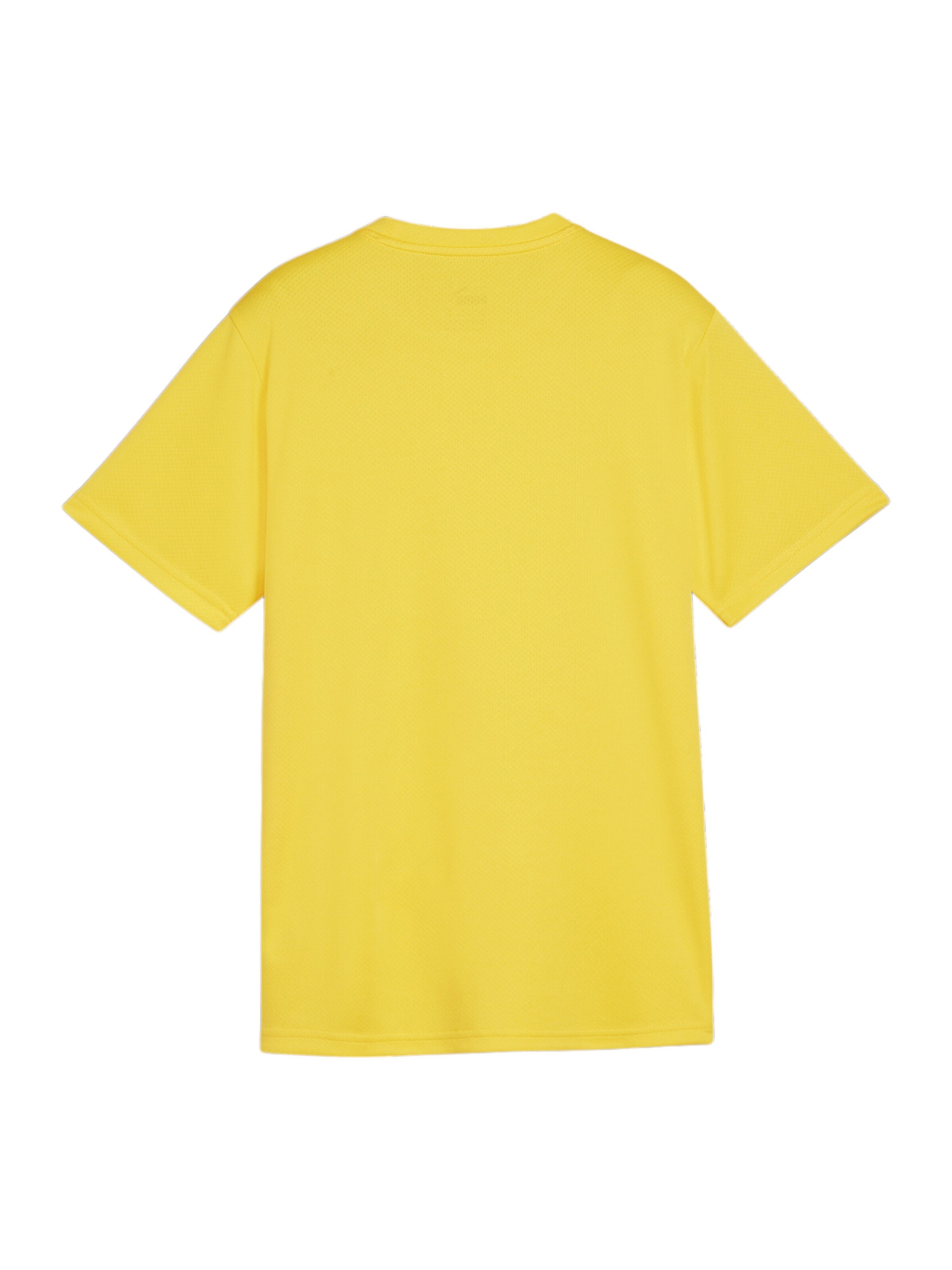 PUMA Performance Shirt 'TeamGoal' in Yellow