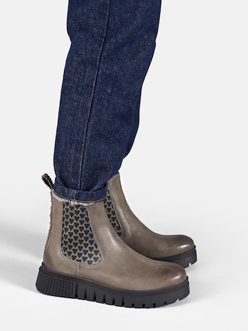 Chelsea Boots Crickit en gris