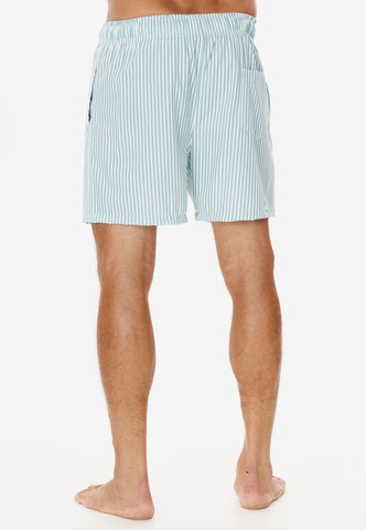 Cruz Board Shorts 'Kenny' in Green