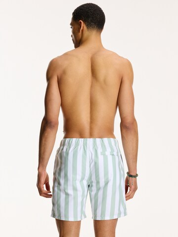 Shorts de bain Shiwi en vert