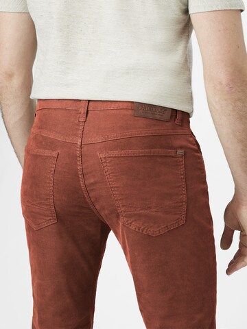 PADDOCKS Regular Pants in Brown