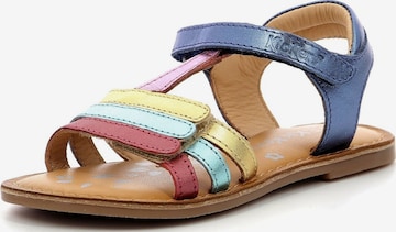 Sandalo di Kickers in colori misti: frontale