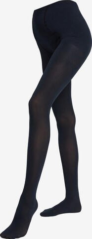 CALZEDONIA Tights in Blue: front