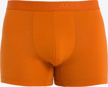 ICEBREAKER Boksershorts 'Anatomica' i oransje: forside