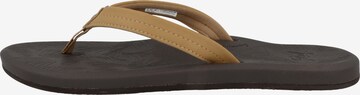 REEF T-Bar Sandals 'Tides' in Brown