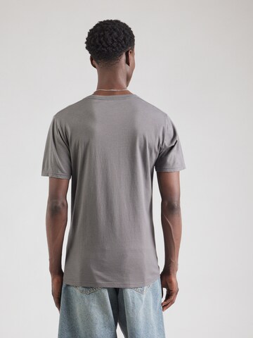 T-Shirt HOLLISTER en gris