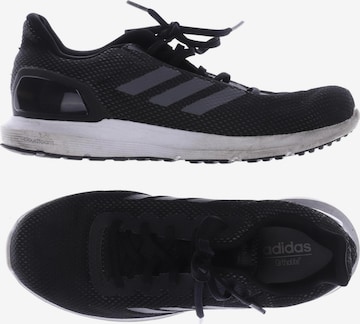 ADIDAS PERFORMANCE Sneakers & Trainers in 43 in Black: front