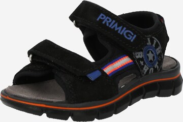 Chaussures ouvertes PRIMIGI en noir : devant