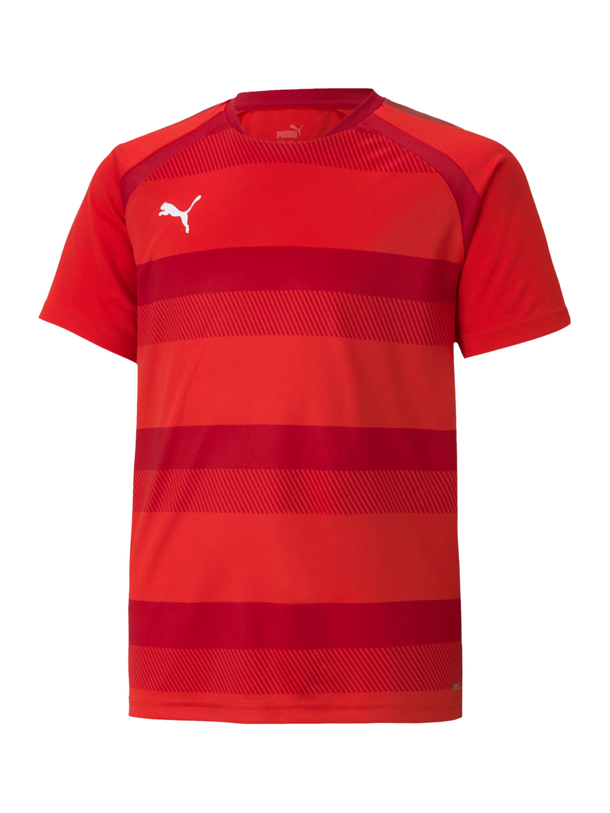 PUMA Performance Shirt 'TeamVision' in Red: front
