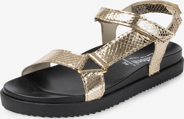 VITAFORM Strap Sandals in Gold: front