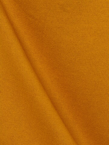Brookshire Strickjacke ' ' in Braun