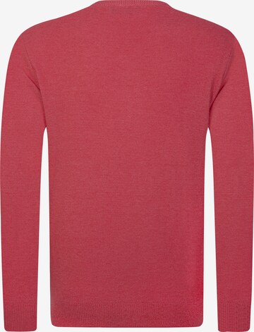 DENIM CULTURE - Pullover 'Pietro' em rosa