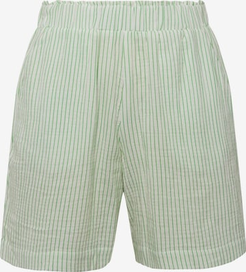 Studio Untold Regular Pants in Green: front