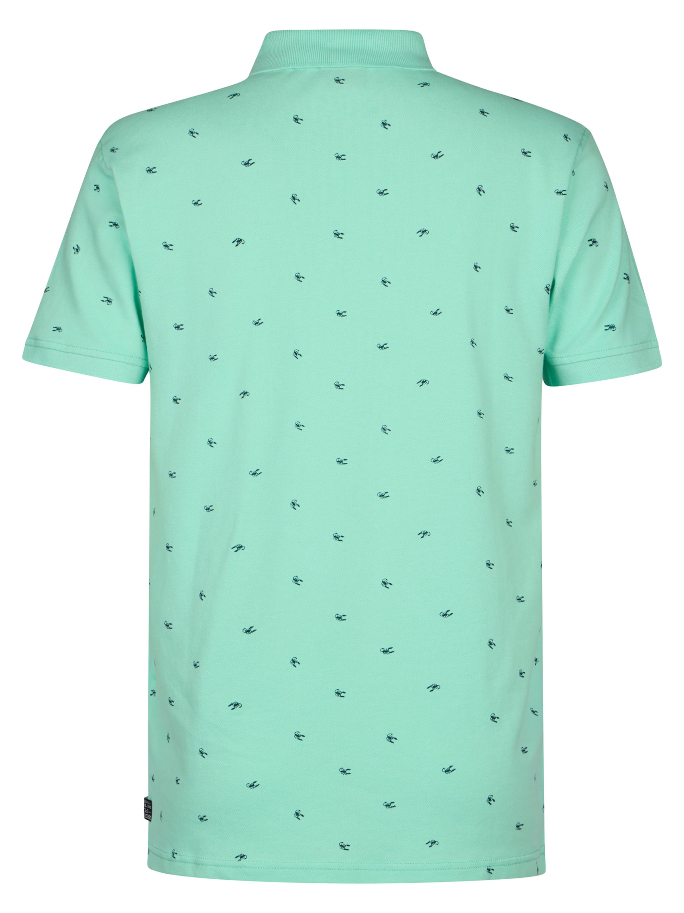 Petrol Industries Koszulka w kolorze zielony