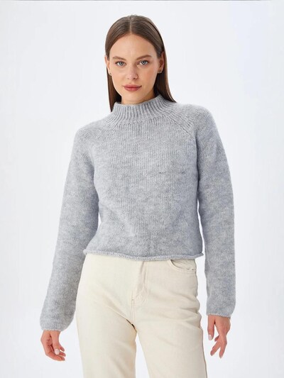 MixRay Pull-over 'Pullover' en S-M en gris, Vue avec produit